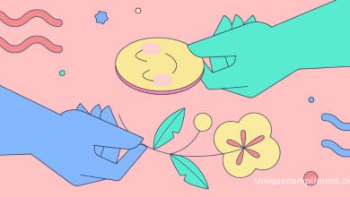 The Press - Rare Compliments